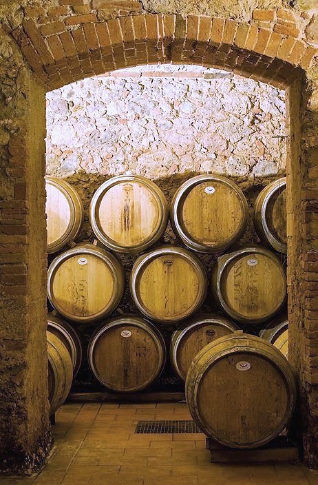 Oak barrels in a vaulted wine cellar
