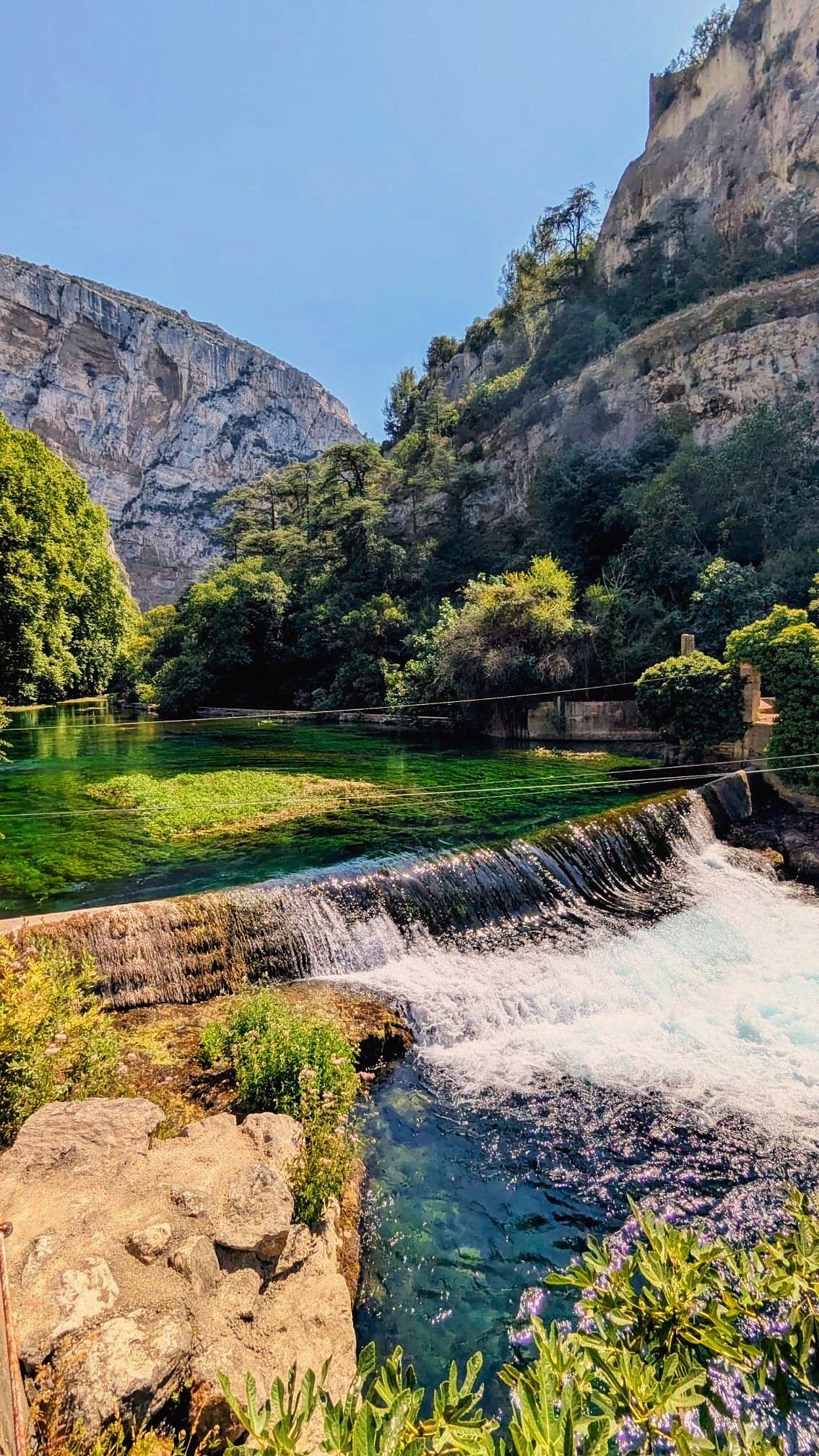 The clear green Sorgue at Fontaine-de-Vaucluse
