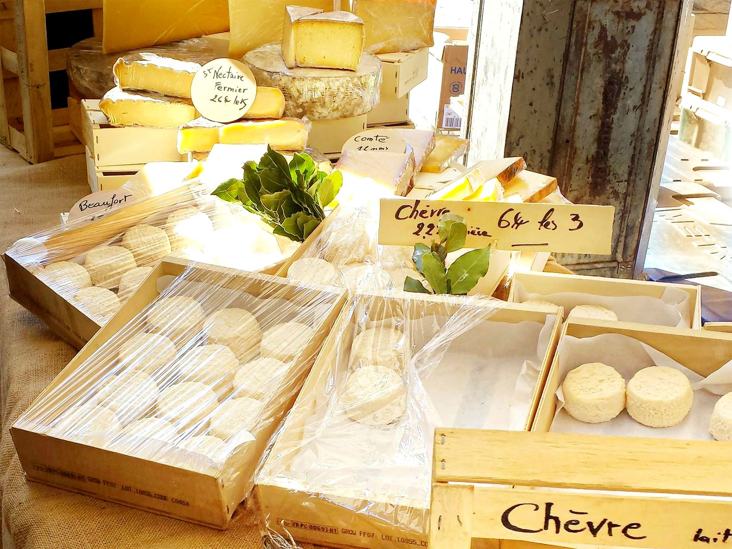 Fromages de chèvre sur un étal de marché en Provence