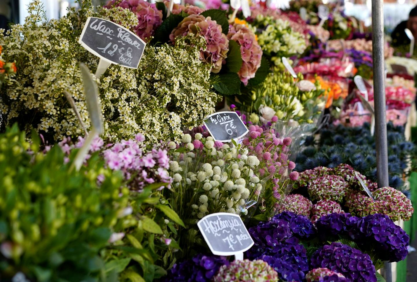 Étal de fleurs sur un marché