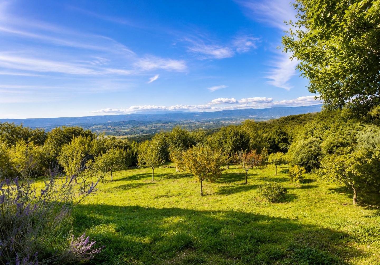 Verger et vue sur la vallée depuis la Villa Bonnieux