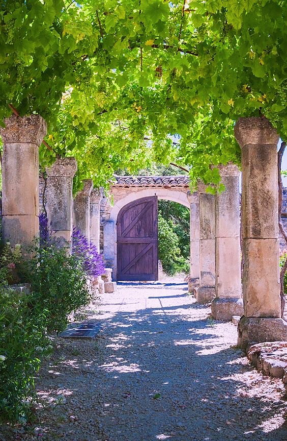 Pergola de pierre couverte de vigne menant à un vieux portail