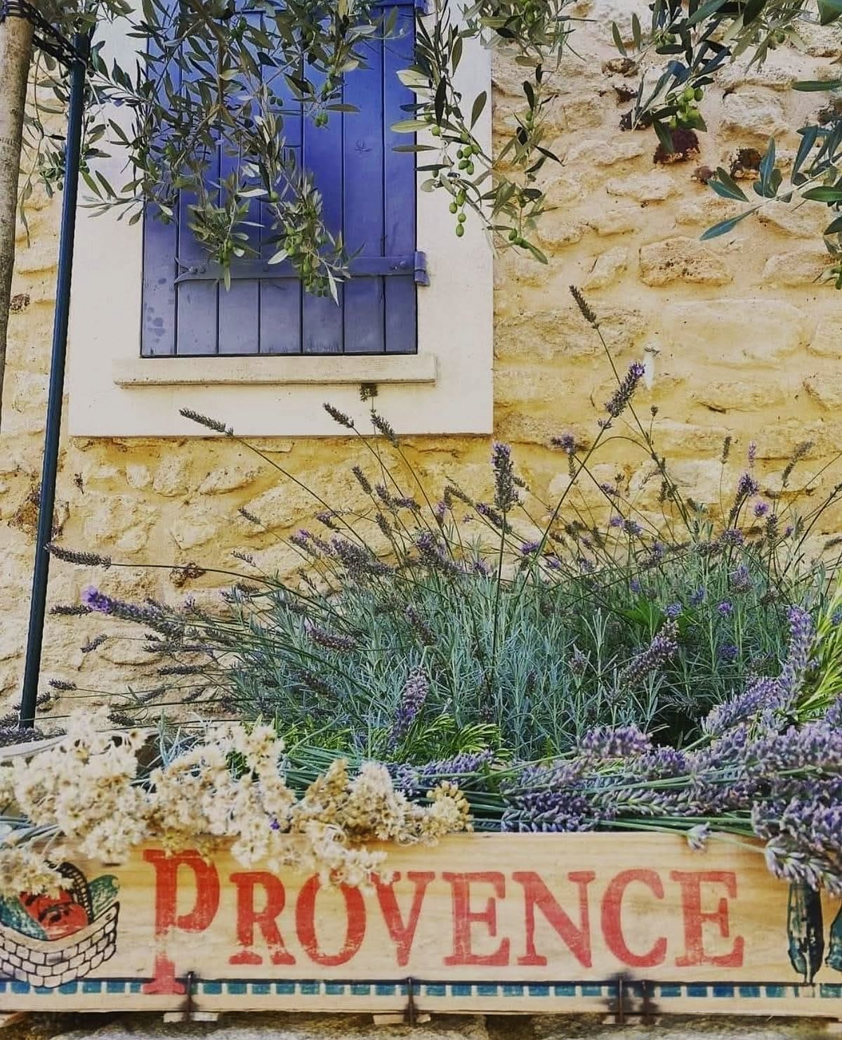 Lavande et fleurs séchées dans une caisse ancienne « Provence » sous un volet bleu