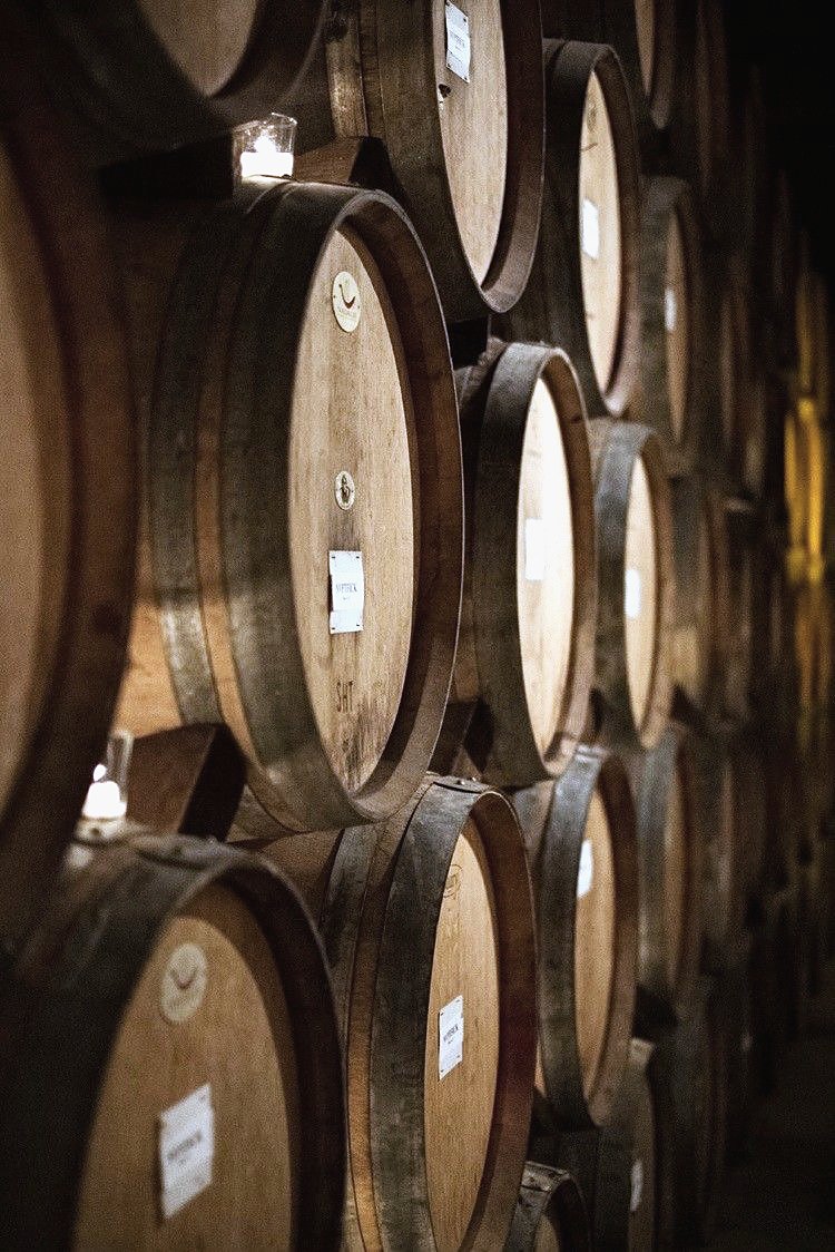 Candlelit barrel cellar at a wine estate
